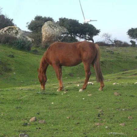 Casa Mariuccia Valledoria (Sardinia)